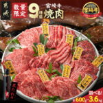 【ふるさと納税】高評価★4.67【セット内容＆発送時期が選べる！】宮崎牛9種盛り焼肉セット - 牛肉 国産 各67g/各200g/各400g 約200g×3P/約600g×3P/約600g×3P×2 たれ付き お中元 特急便あり 送料無料 SKU-3102【宮崎県都城市】｜楽天お肉通販｜22,000円・レビュー845件